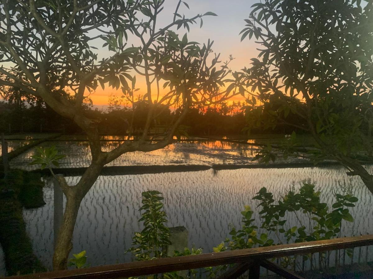 Lovina Vibes Hotel Balian Exteriör bild